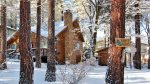Winter Bliss at Forest Chalet
